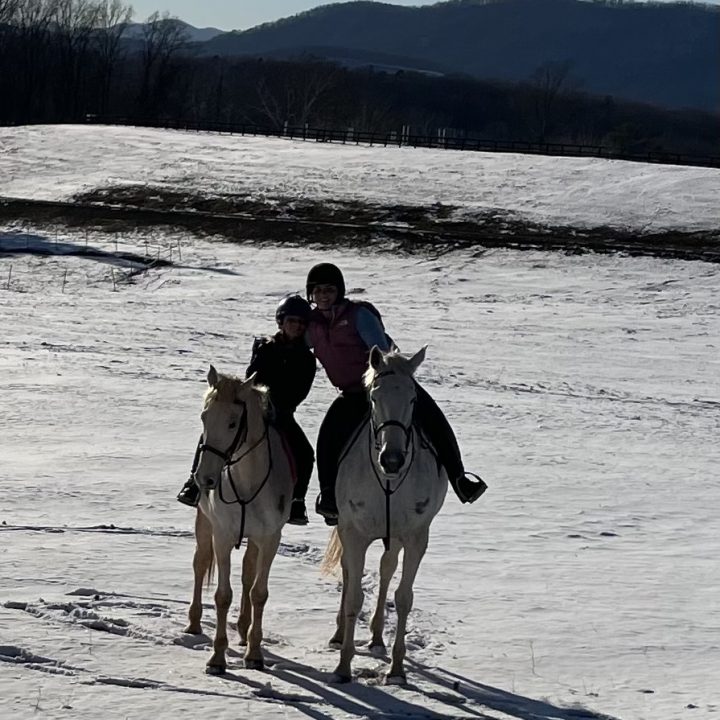 Photo and Videos Brookhill Farm