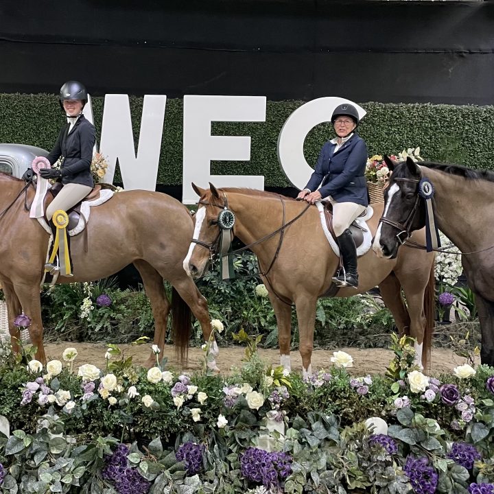 Photo and Videos Brookhill Farm