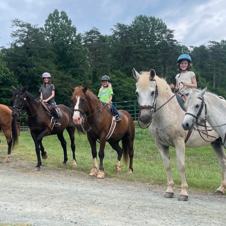 Photo and Videos Brookhill Farm